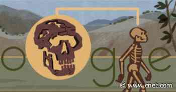 Google Doodle digs into the Turkana Human     - CNET
