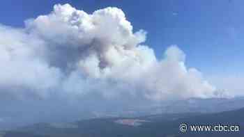 Heavy smoke hampering firefighting efforts, choking B.C. Interior as 245 wildfires burn
