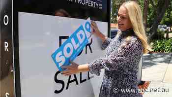 Investors helped by housing tax breaks pile into property market as prices rise