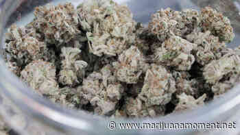 Rhode Island House Speaker Says 'No Consensus' On Marijuana Legalization, But It's 'Workable' - Marijuana Moment