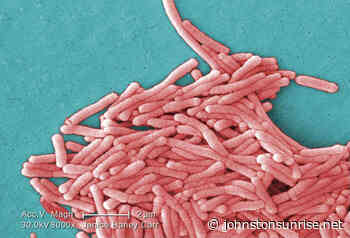 Rising number of Rhode Island residents diagnosed with Legionnaires' Disease - Johnston Sun Rise