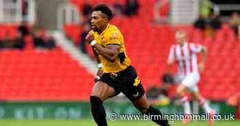 Bruno Lage transfers make perfect sense & Adama Traore has a new role at Wolves - Birmingham Live