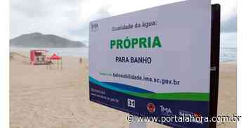 Meio Ambiente divulga relatório de balneabilidade das praias catarinenses; Imbituba aparece com 100% de praias próprias para banho; confira - Portal AHora