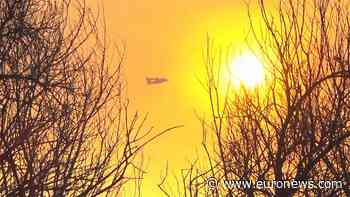 Greece: Homes destroyed in aftermath to Peloponnese forest fire - Euronews