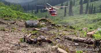 Man lost in Abitibi forest found safe - Global News