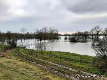 Lanaken en Kinrooi krijgen als eerste Kunst aan de Maas - Het Belang van Limburg