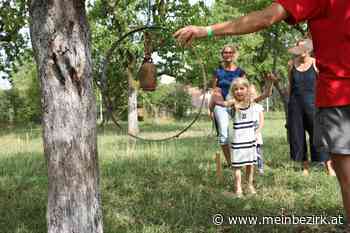 Gerasdorf/St. Egyden: Sommerfest mit den 7 Zwetschken - meinbezirk.at