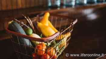 Ardea, riaprono i termini per richiedere i buoni spesa Covid - Il Faro Online