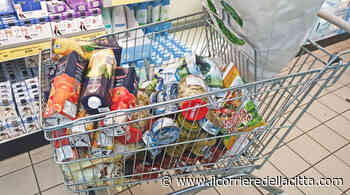 Ardea, buoni spesa Covid: da oggi è possibile fare richiesta - Il Corriere della Città