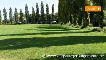 Die Stadt will auf einer Spielwiese Klima-Bäume pflanzen