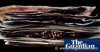 Top seeds: artists capture global efforts to future-proof nature – in pictures