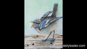 Brookhaven Regional Arts Guild names July Artist of the Month - Daily Leader - Dailyleader