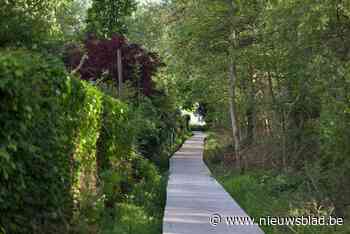 Nachtelijke loopwedstrijd in Merelbeke: “Uniek kader geeft een boost”