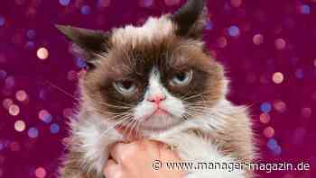 Nörgelnde Kollegen: So gehen Sie im Team damit um