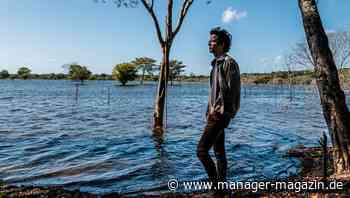 CO2-Zertifikate: Kompensationen für Kohlendioxid-Ausstoß taugen oft nichts