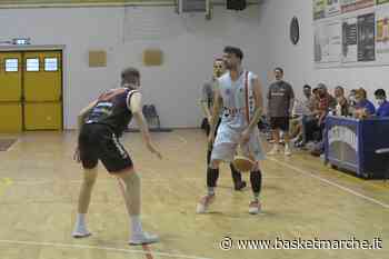 Vigor Matelica, ufficiale la conferma di Samuele Vissani anche per la prossima stagione - - Basketmarche.it