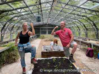 Witton Park greenhouse renovation project growing well