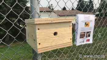 Calgary pilot project aims to save money while boosting biodiversity