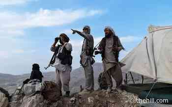 Biden administration expands Afghan refugee program amid Taliban violence