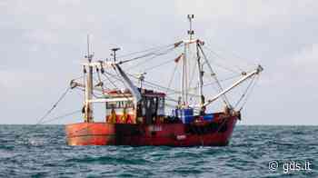 Pesca, pubblicato decreto per fermo temporaneo. Scilla: "Si potrà scegliere il periodo" - Giornale di Sicilia