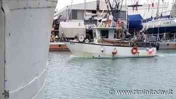 Scatta il fermo pesca, stop al pesce fresco in tavola per oltre un mese - RiminiToday