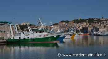 Pesca, per Pesaro e Ancona da domani scatta il fermo. Durerà fino al 5 settembre - corriereadriatico.it