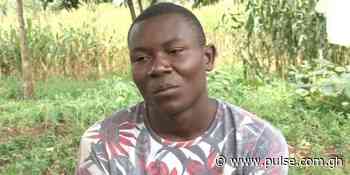 Gardener runs "mad" after lady he took home turned into goat: “I met the beautiful lady at market” - Pulse Ghana