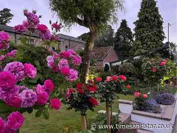 Partially sighted Cockermouth gardener hopes to inspire others on BBC's Gardeners' World | Times and Star - Times & Star