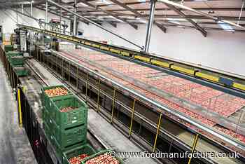 Fruit supplier Bardsley England acquired by Camellia