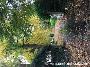 Cllr Carole Cockburn: Negligence, not No10, to blame for plan delays - Farnham Herald