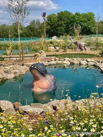 New jungle-themed crazy golf course opens near Farnham - Farnham Herald