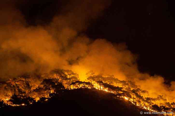 Villages évacués, températures caniculaires, forêts dévastées... Le Sud de l'Europe suffoque à cause des incendies