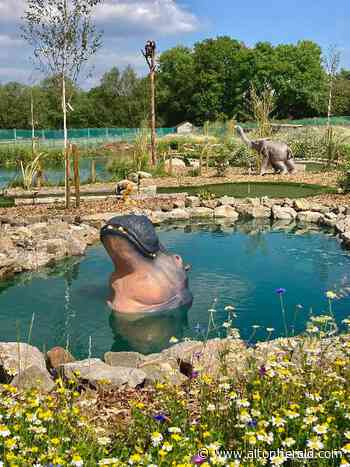 New jungle-themed crazy golf course opens near Farnham - Alton Herald