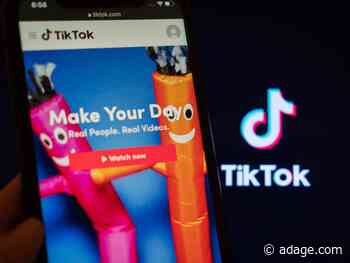 Everything you need to know about TikTok advertising