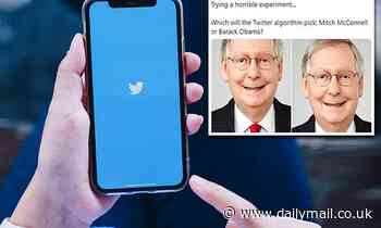 Twitter offers $3,500 'bounty' to users who find algorithmic bias, like cropping out Black people 