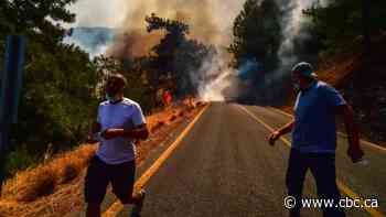 Wildfires blaze on in drought-hit Turkey as criticism of government grows