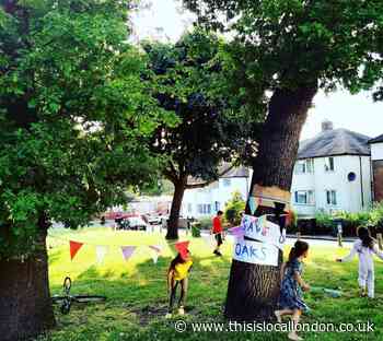 Petition to save century-old oak trees in Lewisham