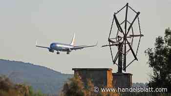 Reisekonzern: „Aufwand für Verspätungen um ein Viertel reduzieren“: Tui bündelt das Management seiner Airlines - Handelsblatt