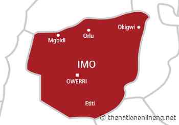 APC chieftain’s mother butchered in Imo - The Nation Newspaper