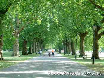 Battersea Park lamp-posts upgraded with eco-friendly bulbs
