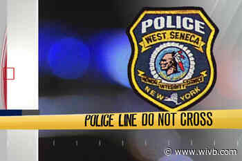 West Seneca police rescue dog from under house