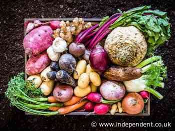 Easy ways to cut down on your meat consumption and fight food waste - The Independent
