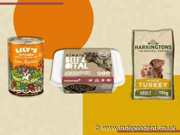 How to choose the right dog food for your four-legged friend, according to vets - The Independent