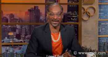 Tokyo Olympics memes: Snoop's hilarious horse commentary, diver's relatable flop     - CNET