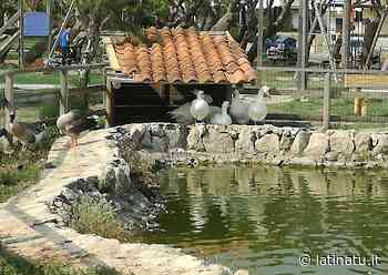 SUD PONTINO, RIQUALIFICAZIONE DEL LITORALE: ECCI I 3 PROGETTI A FORMIA, GAETA E MINTURNO - Latina Tu