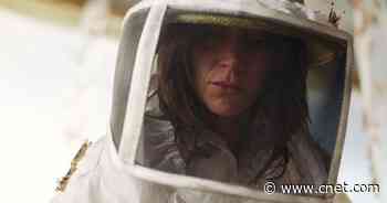 Netflix: 40 best movies to see this week     - CNET