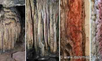 Cave paintings of swirling dots, ladders, animals and hands in Spain were drawn by neanderthals