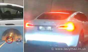 Tesla autopilot brings Model S to a stop by itself after 'drunk driver' fell asleep at the wheel