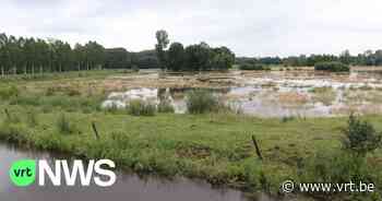 Wateroverlast zindert na bij vissers in Halen en Lummen: "We zijn duizenden kilo's vis kwijt" - VRT NWS