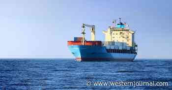 Once Border Protection Saw What Came on This Ship from Asia, They Immediately Expelled It from US Waters